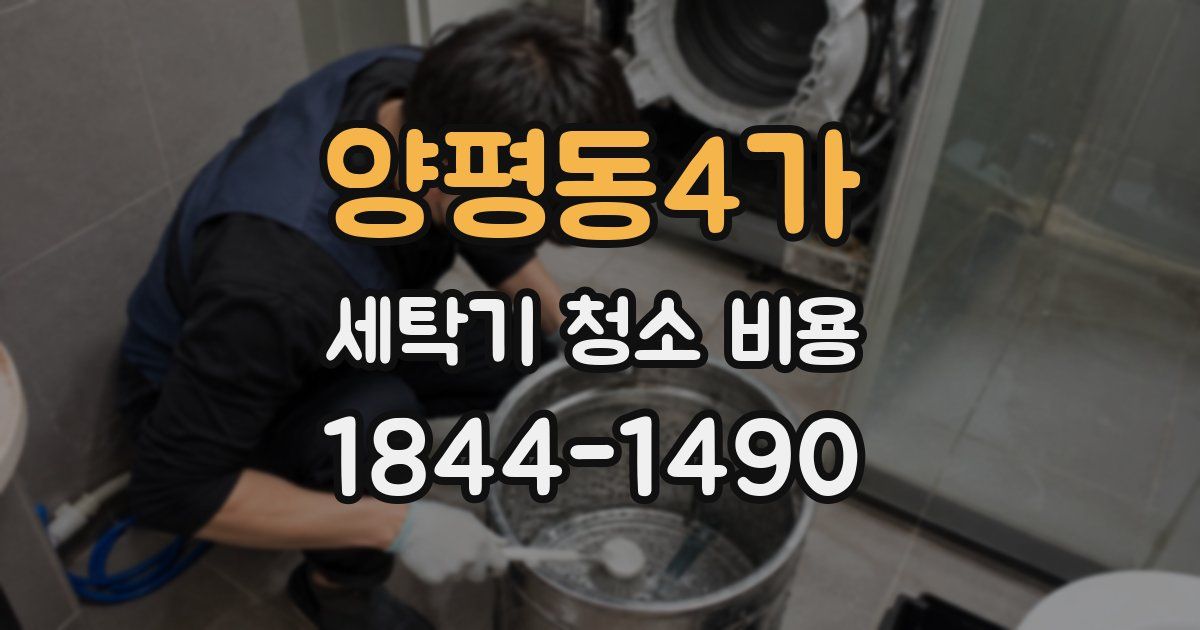 양평동4가 세탁기 청소 비용