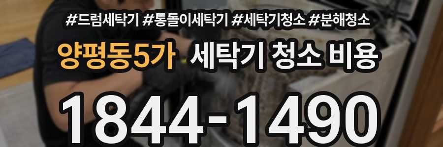 양평동5가 세탁기 청소 비용