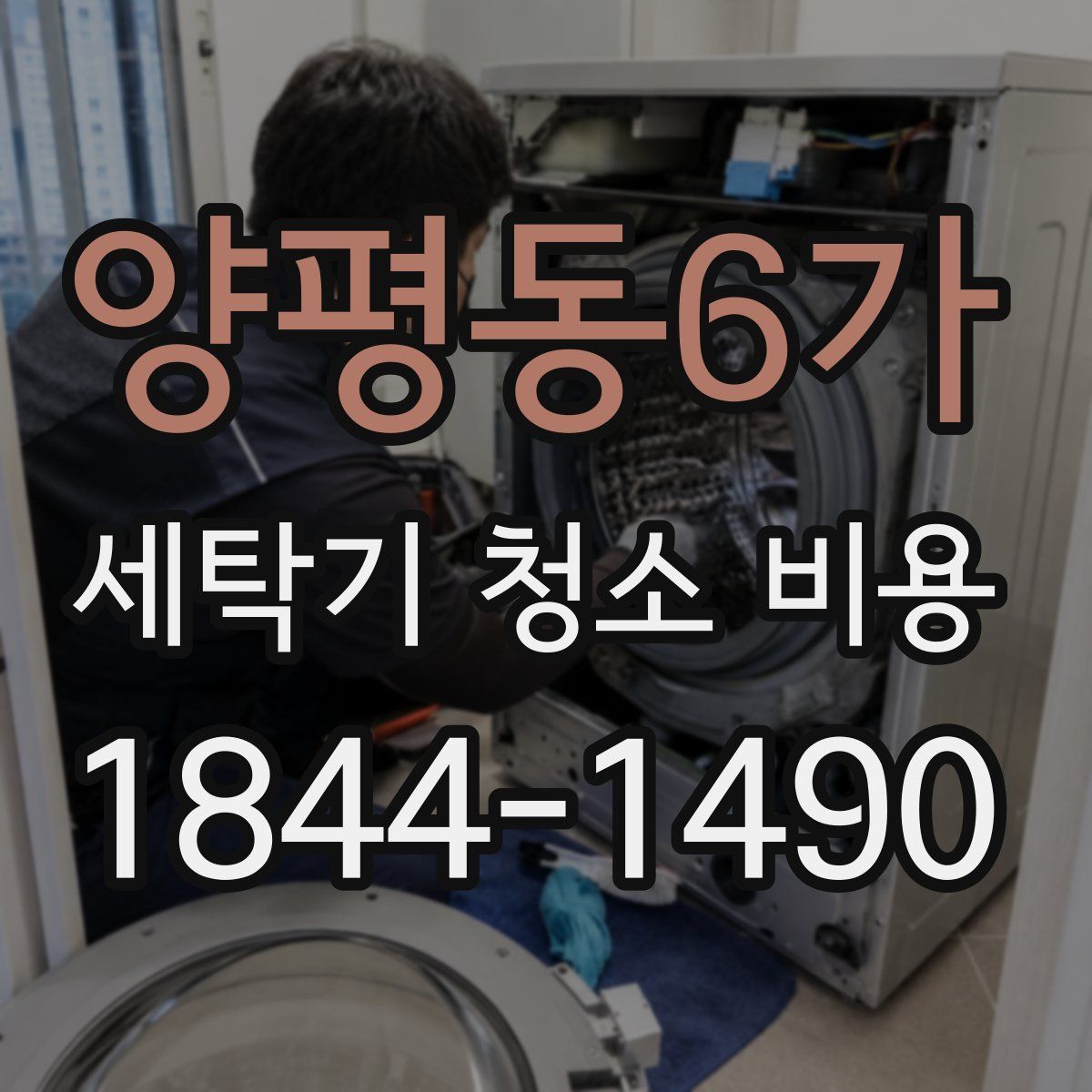 양평동6가 세탁기 청소 비용