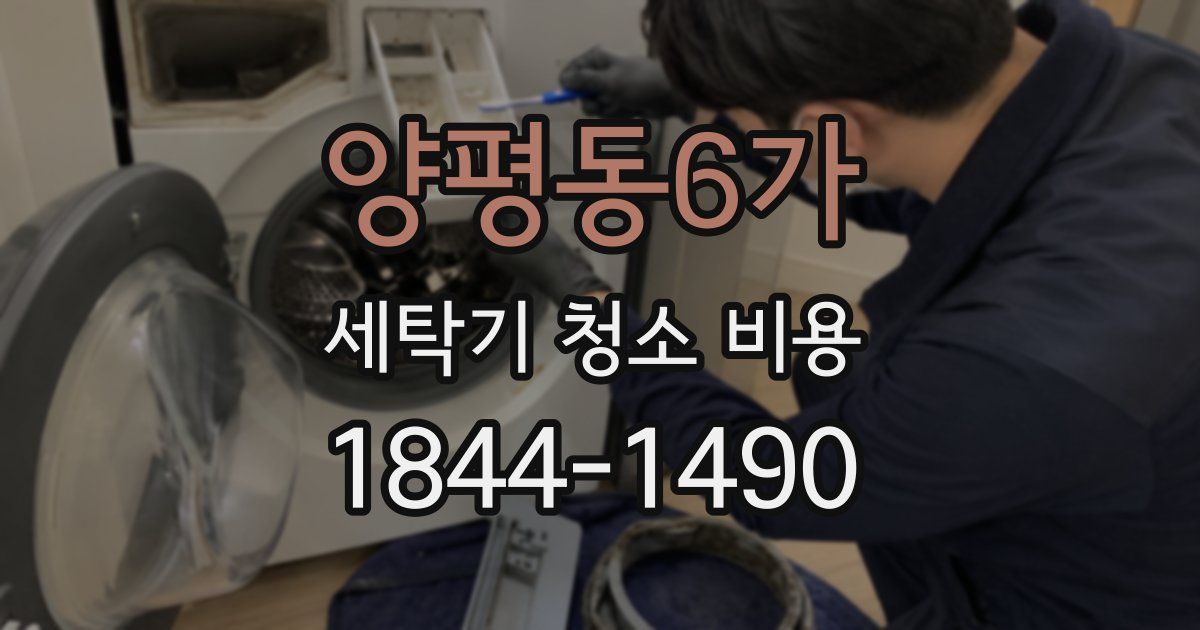 양평동6가 세탁기 청소 비용