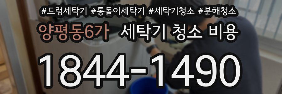 양평동6가 세탁기 청소 비용