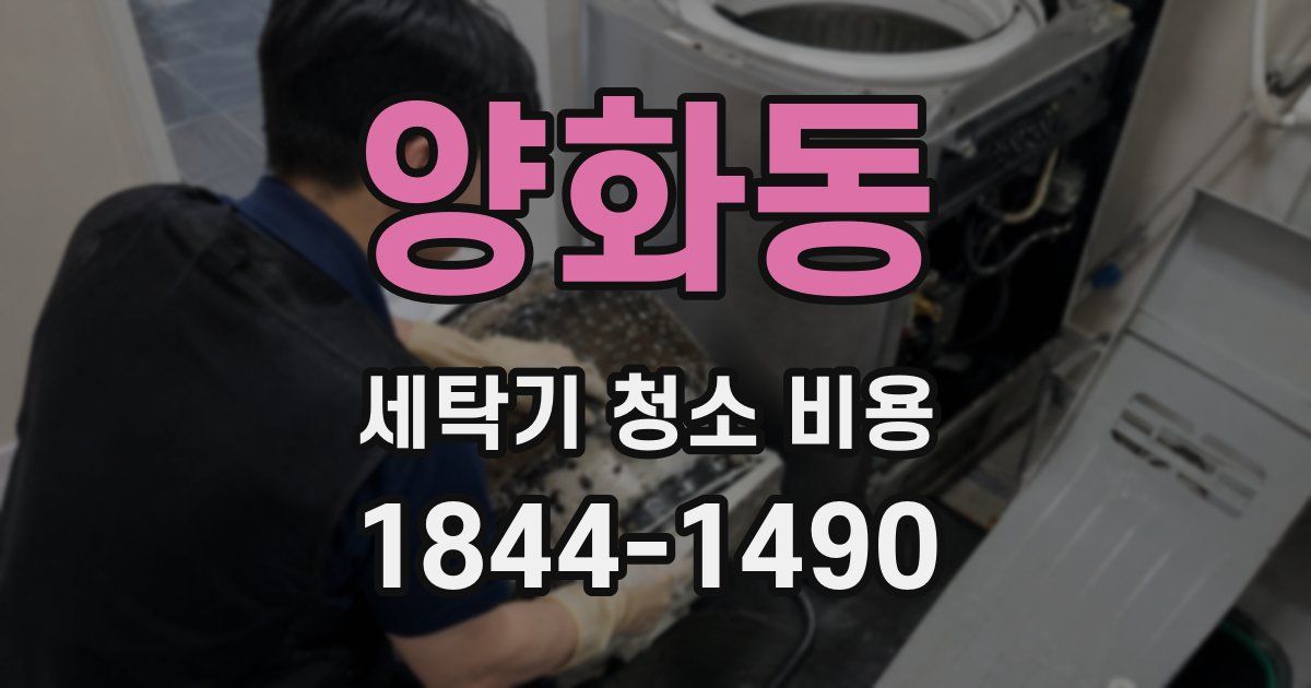양화동 세탁기 청소 비용