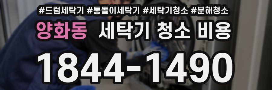 양화동 세탁기 청소 비용