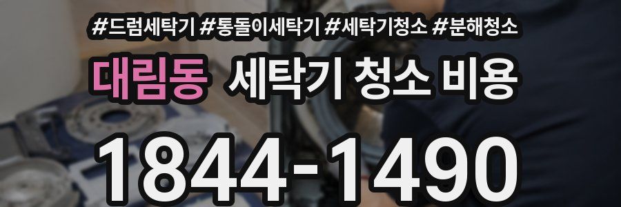 대림동 세탁기 청소 비용