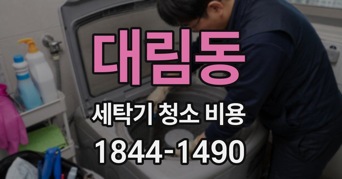 대림동 세탁기 청소 비용