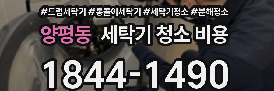 양평동 세탁기 청소 비용