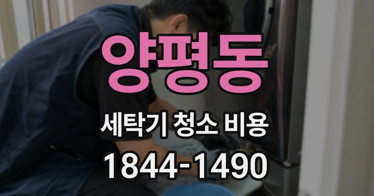 양평동 세탁기 청소 비용