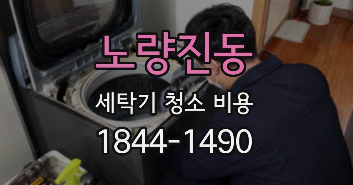 노량진동 세탁기 청소 비용