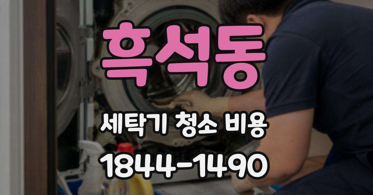 흑석동 세탁기 청소 비용