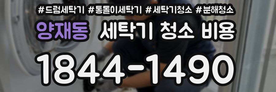 양재동 세탁기 청소 비용