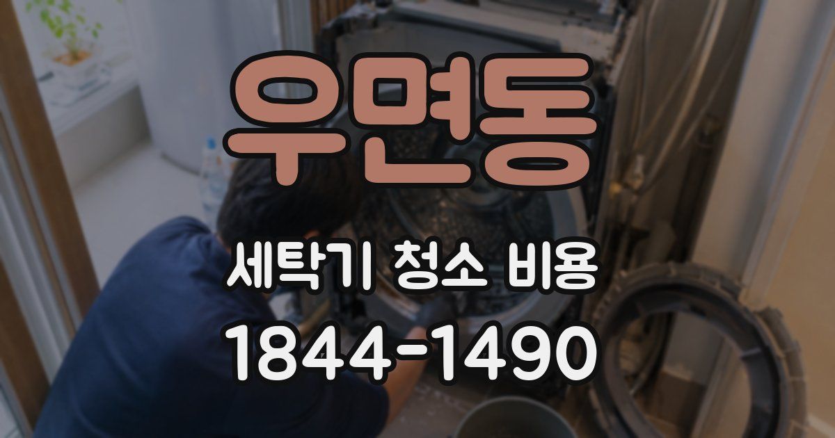우면동 세탁기 청소 비용