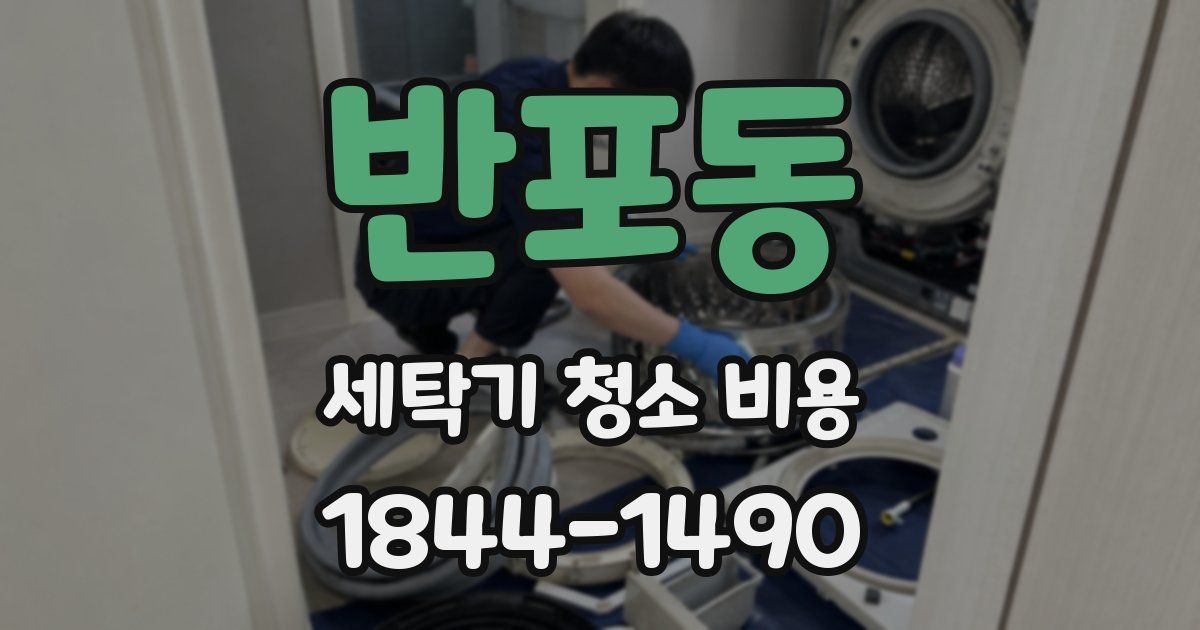 반포동 세탁기 청소 비용