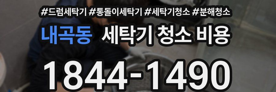 내곡동 세탁기 청소 비용
