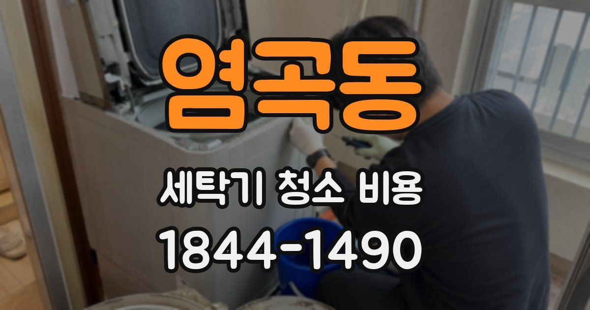 염곡동 세탁기 청소 비용