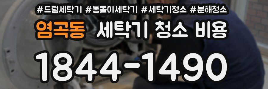 염곡동 세탁기 청소 비용