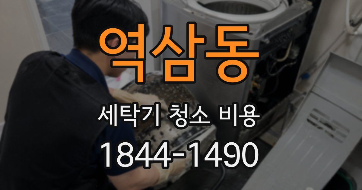 역삼동 세탁기 청소 비용