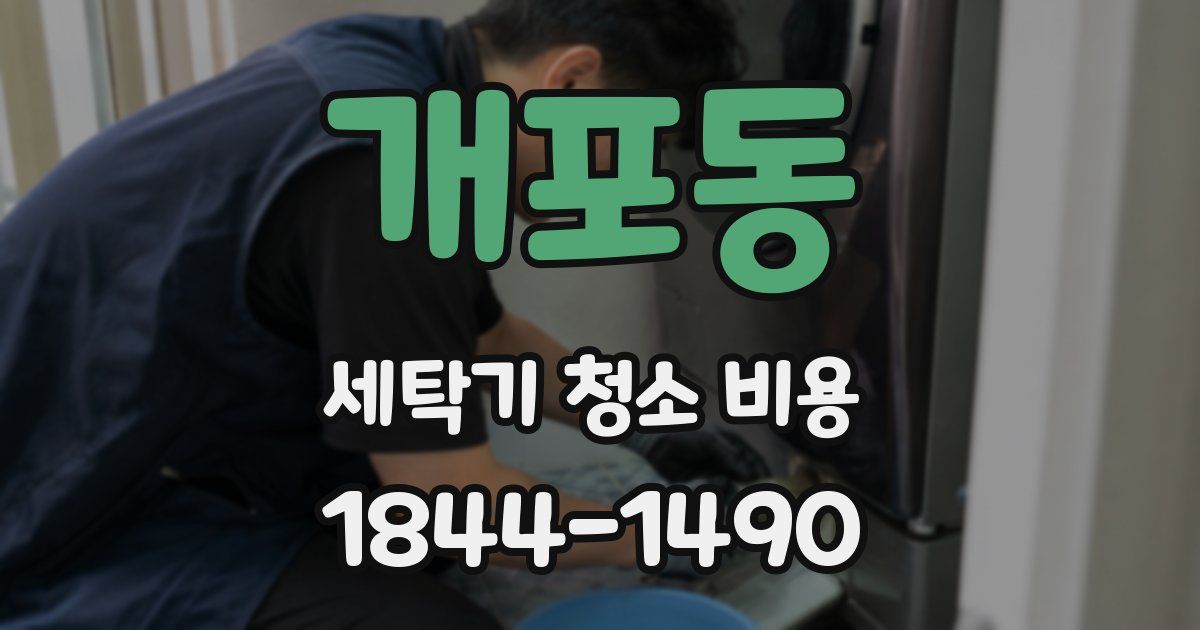 개포동 세탁기 청소 비용