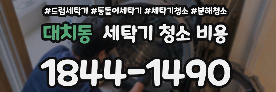 대치동 세탁기 청소 비용
