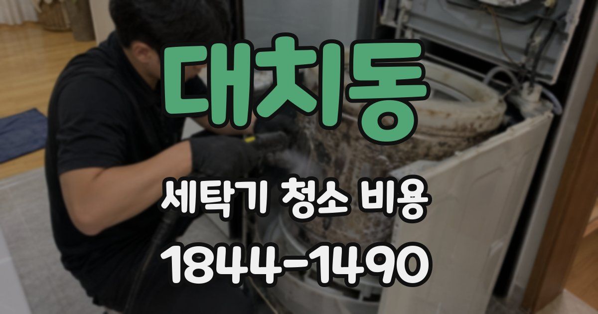 대치동 세탁기 청소 비용