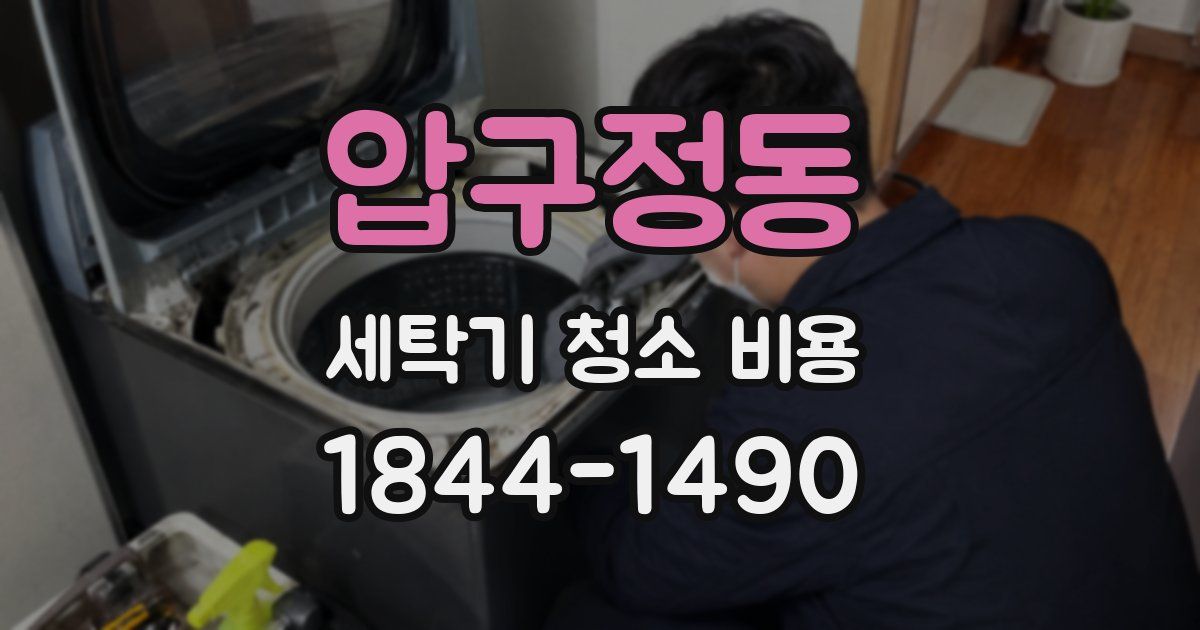 압구정동 세탁기 청소 비용