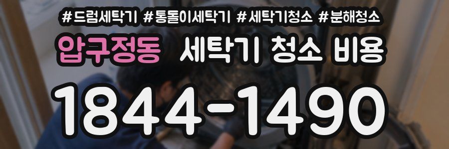 압구정동 세탁기 청소 비용