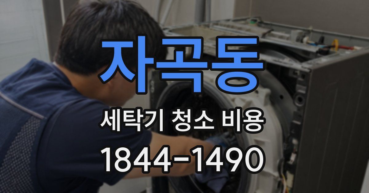 자곡동 세탁기 청소 비용
