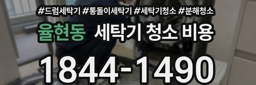율현동 세탁기 청소 비용