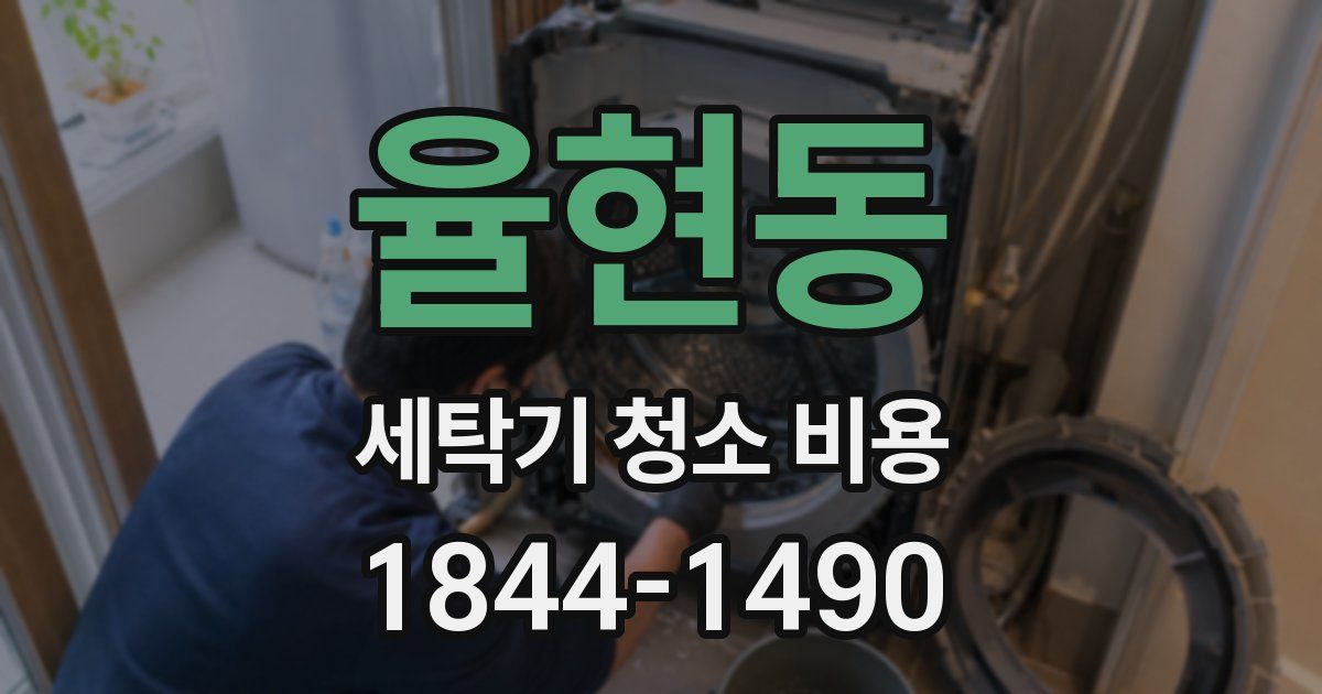 율현동 세탁기 청소 비용
