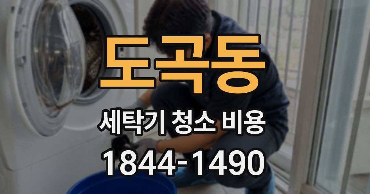 도곡동 세탁기 청소 비용
