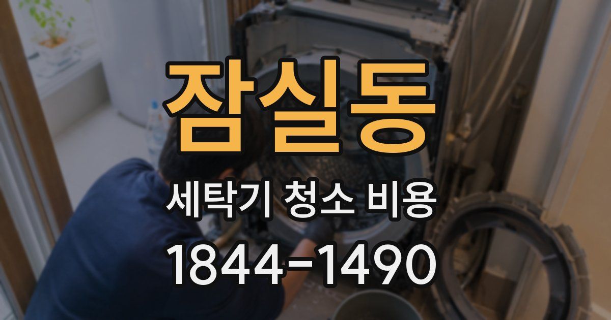 잠실동 세탁기 청소 비용