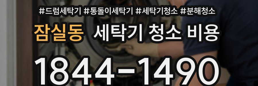 잠실동 세탁기 청소 비용