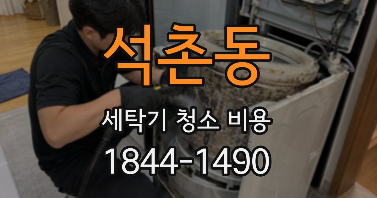 석촌동 세탁기 청소 비용