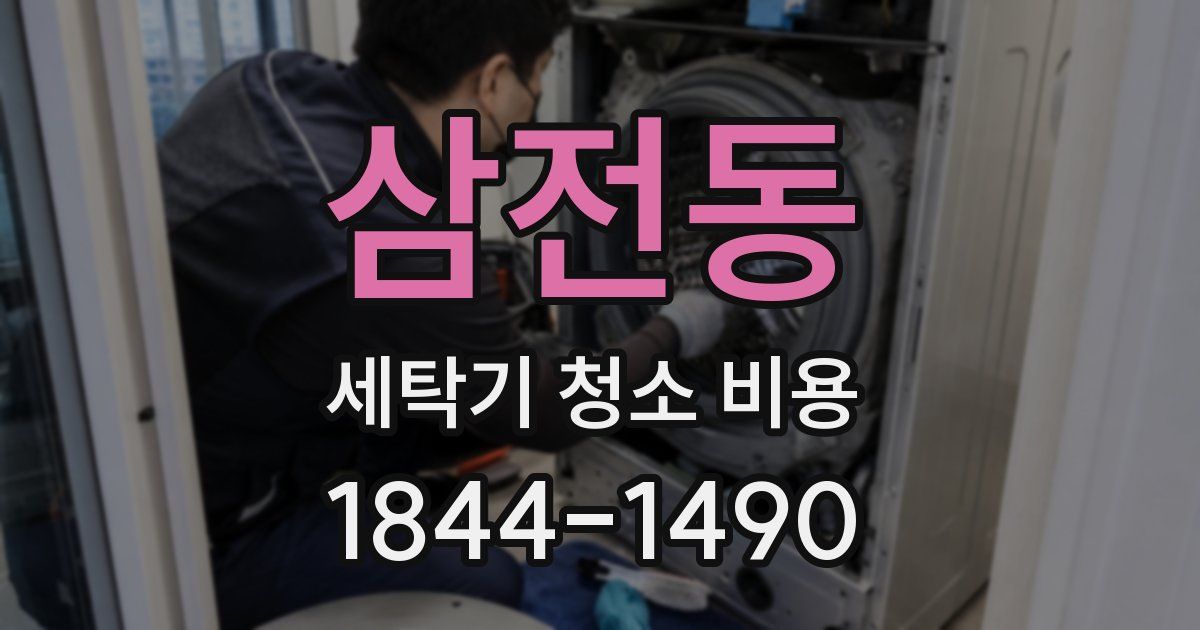 삼전동 세탁기 청소 비용