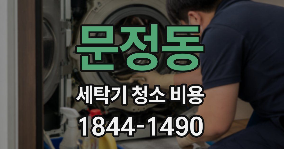 문정동 세탁기 청소 비용