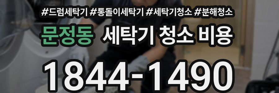 문정동 세탁기 청소 비용