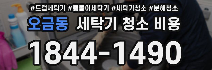 오금동 세탁기 청소 비용
