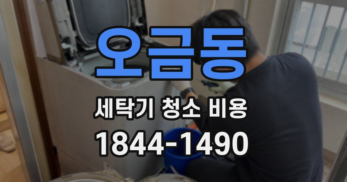 오금동 세탁기 청소 비용