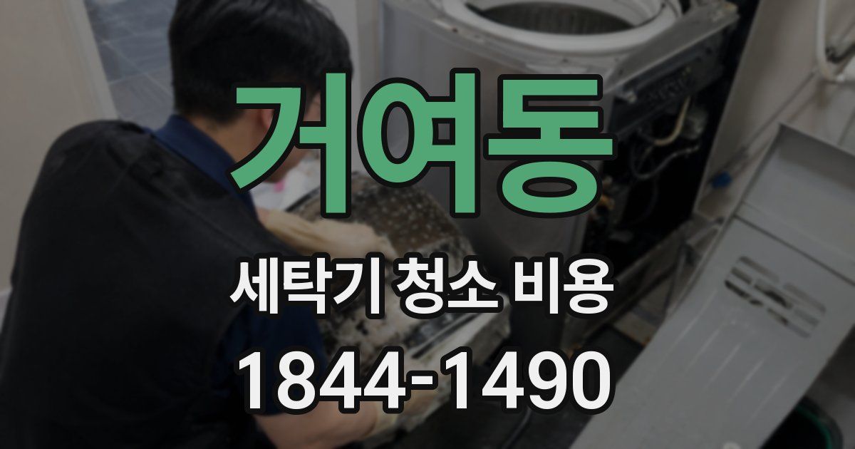 거여동 세탁기 청소 비용