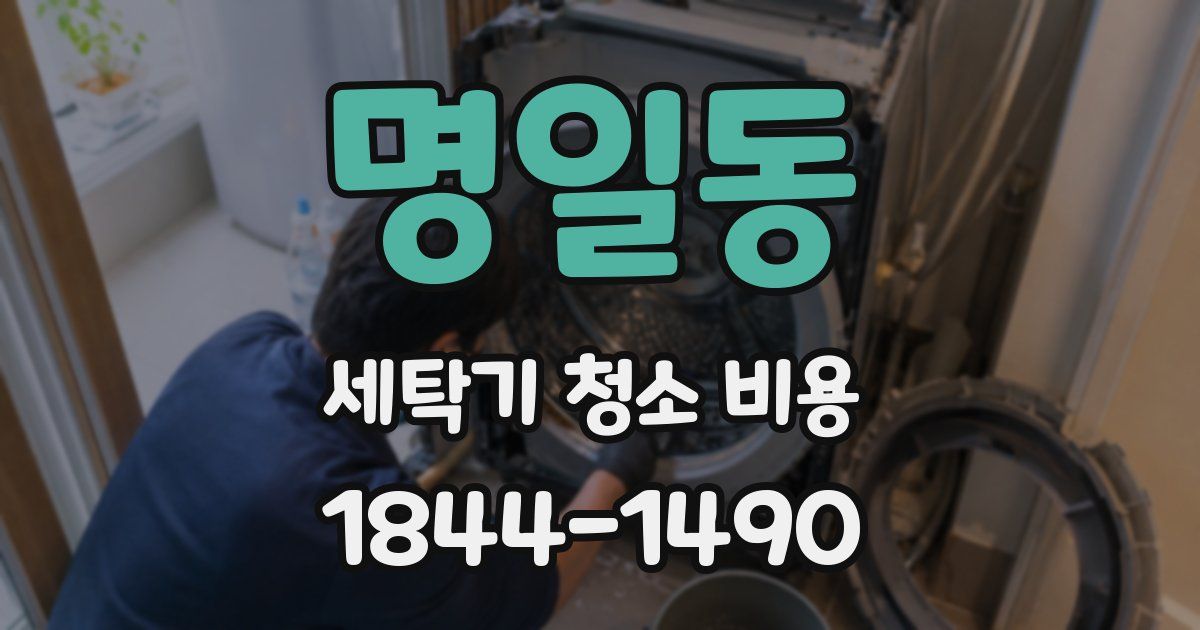 명일동 세탁기 청소 비용