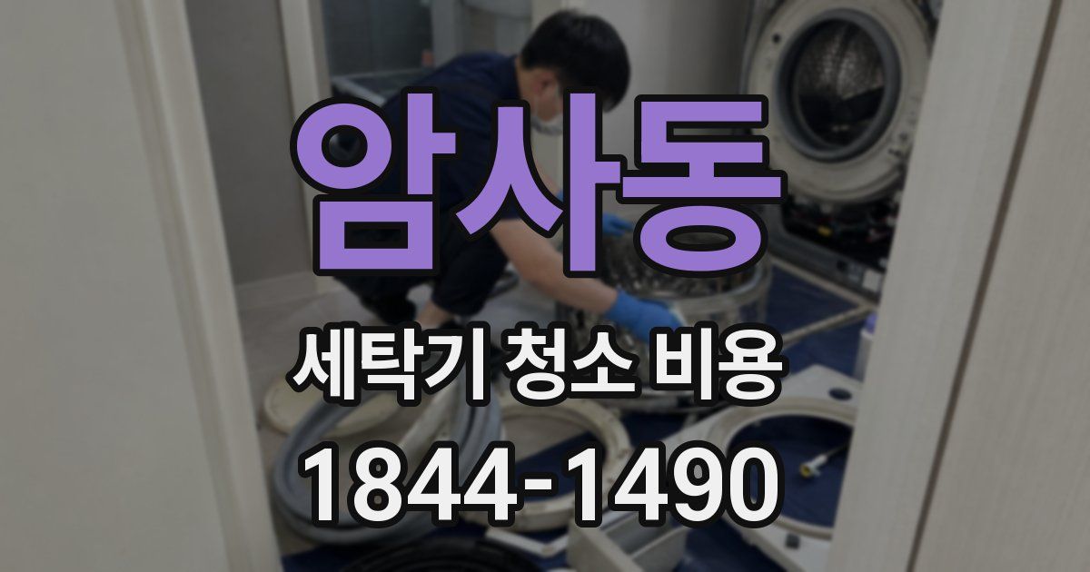 암사동 세탁기 청소 비용
