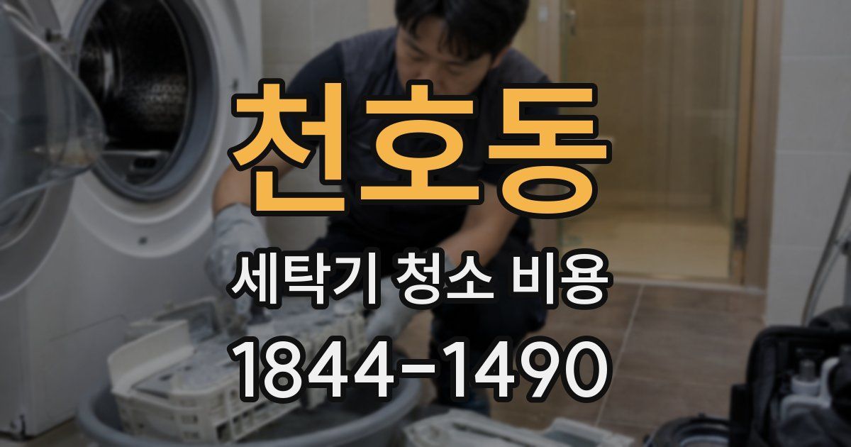 천호동 세탁기 청소 비용