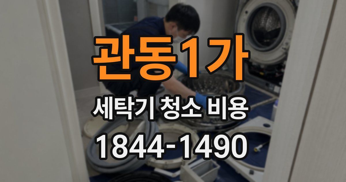 관동1가 세탁기 청소 비용