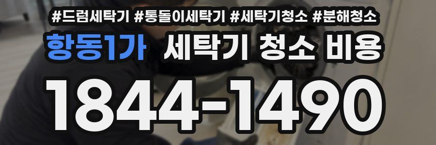 항동1가 세탁기 청소 비용
