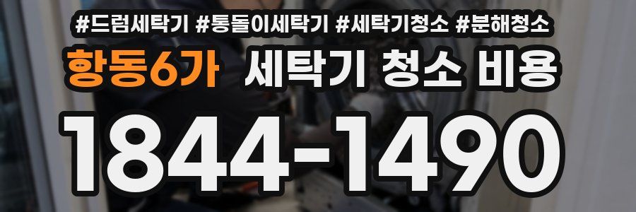 항동6가 세탁기 청소 비용