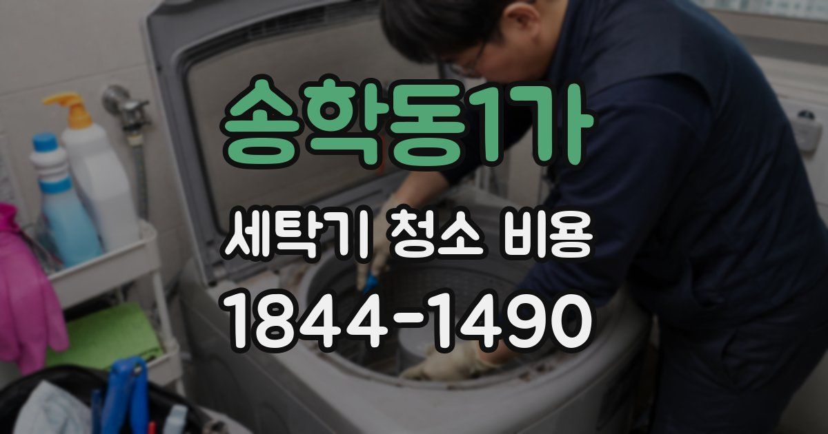 송학동1가 세탁기 청소 비용