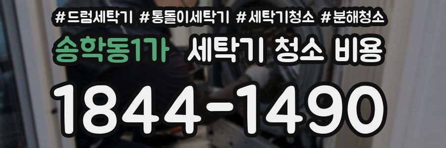 송학동1가 세탁기 청소 비용