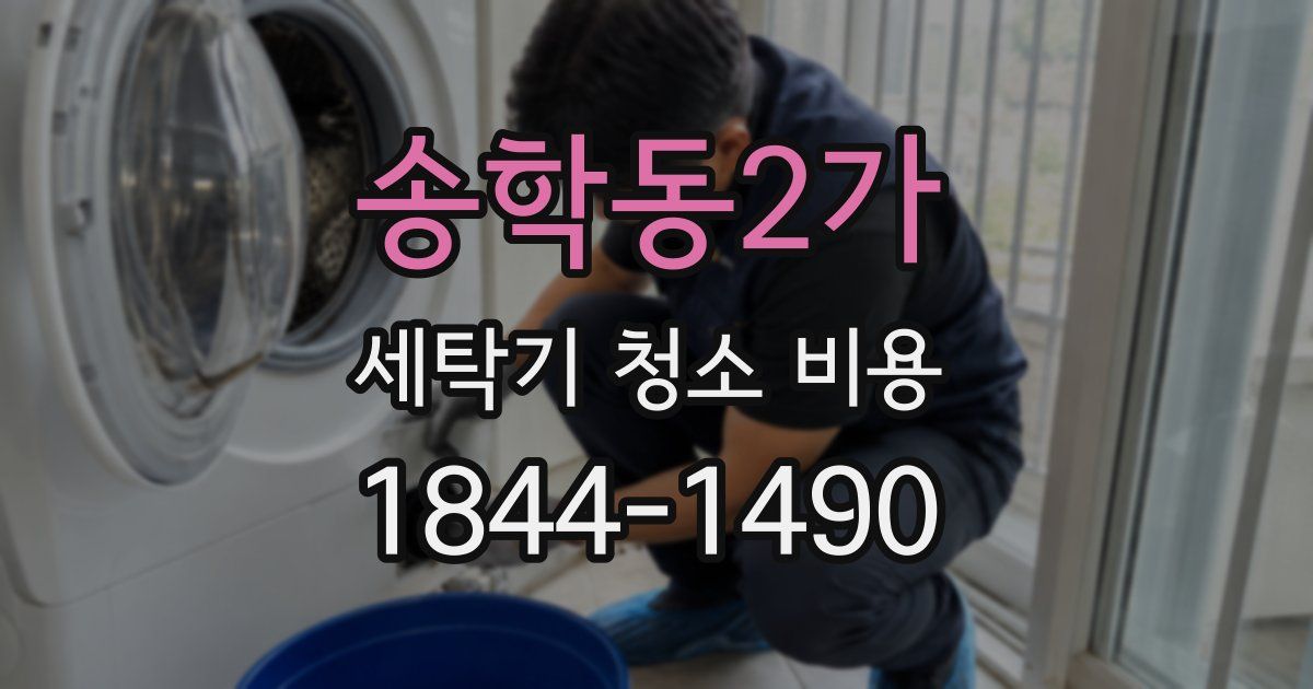 송학동2가 세탁기 청소 비용
