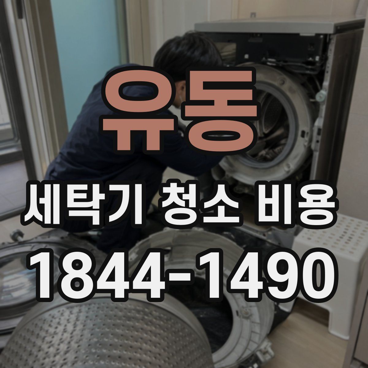 유동 세탁기 청소 비용