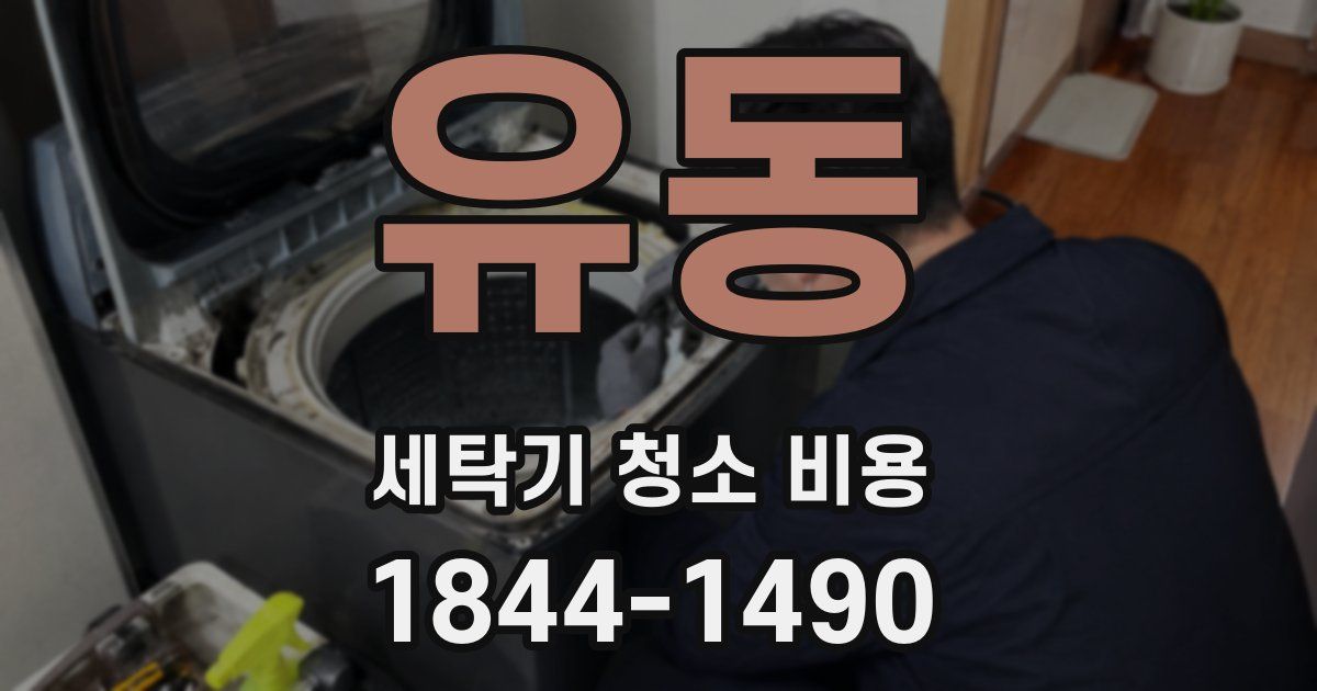유동 세탁기 청소 비용