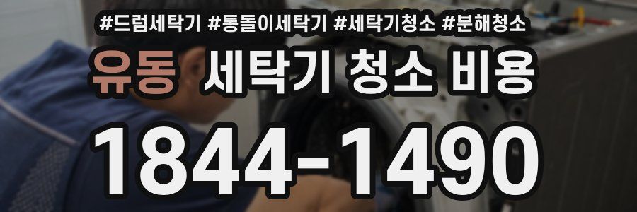 유동 세탁기 청소 비용